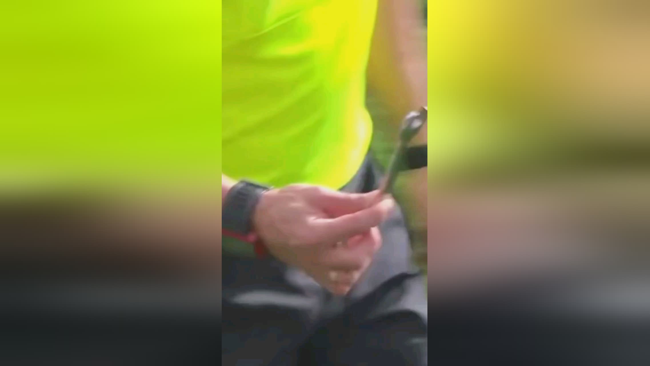 了一个